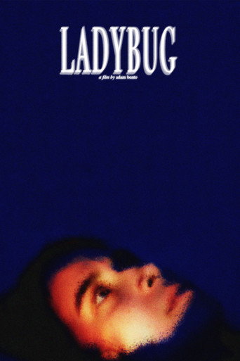 Ladybug movie poster