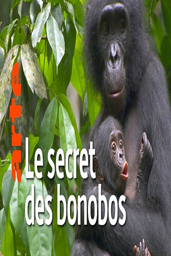 La vie cachée des bonobos movie poster