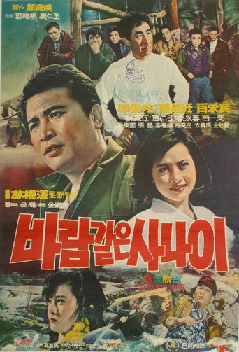 A Man Like the Wind movie poster