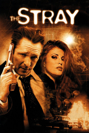 The Stray movie poster
