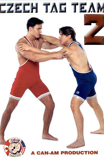 Czech Tag Team 2 movie poster
