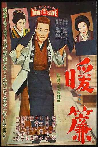 The Shop Curtain movie poster