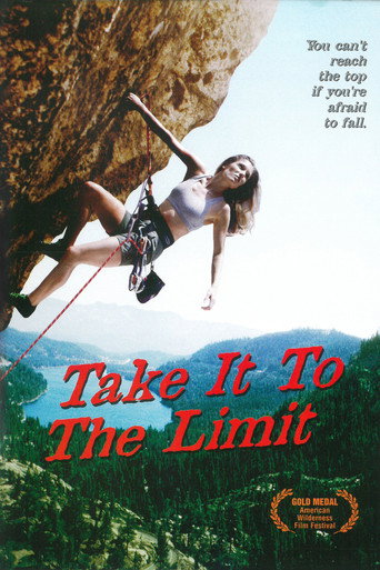 Take It to the Limit movie poster