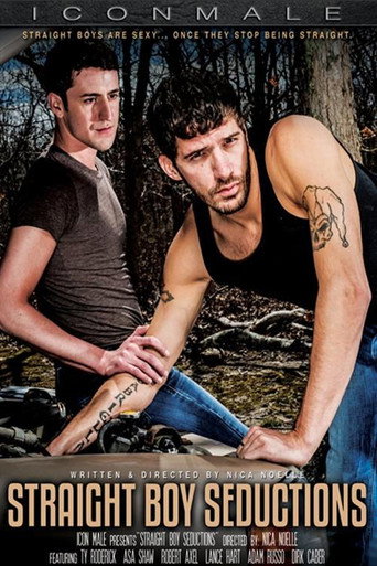 Straight Boy Seductions movie poster