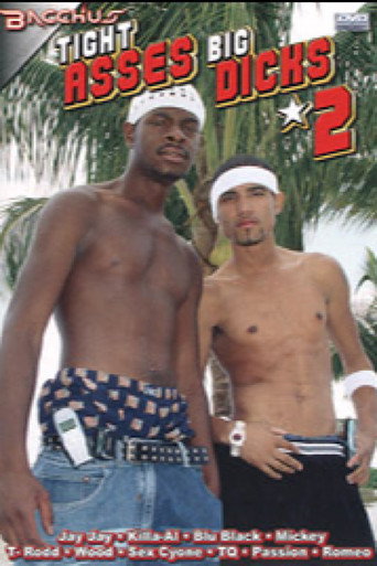 Tight Asses Big Dicks 2 movie poster