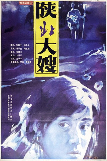A Woman from North Shaanxi movie poster