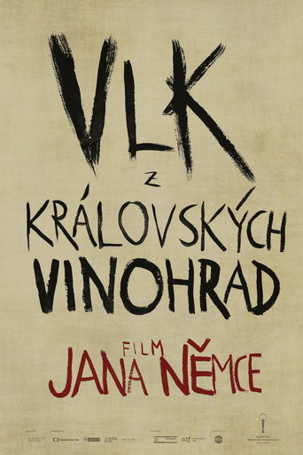 The Wolf from Royal Vineyard Street movie poster