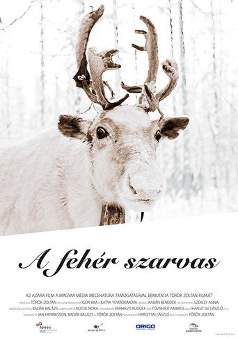 The White Reindeer movie poster