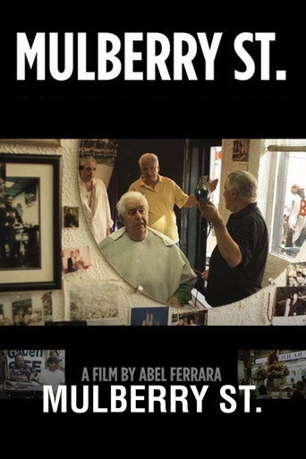Mulberry St. movie poster