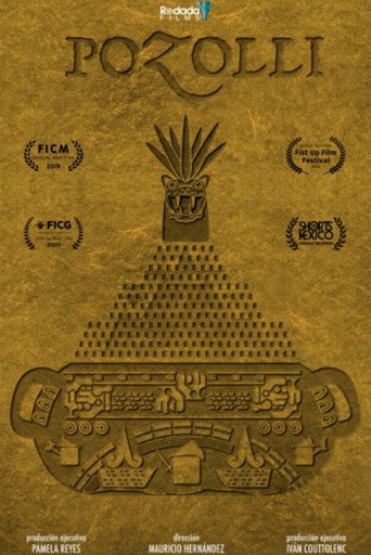 Pozolli movie poster