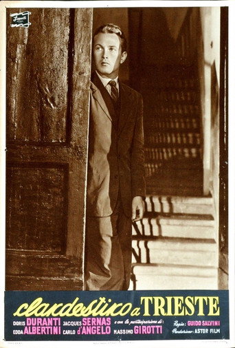 Fugitive in Trieste movie poster