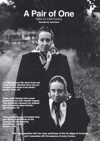 A Pair of One movie poster