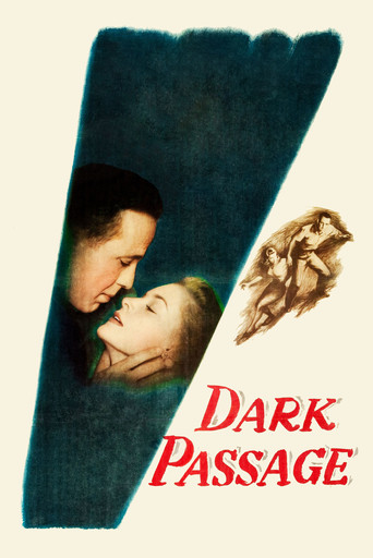 Dark Passage movie poster
