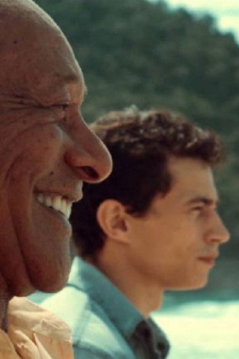 O Reencontro movie poster