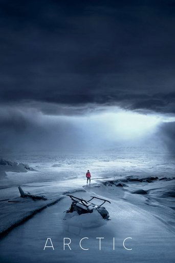 Arctic movie poster