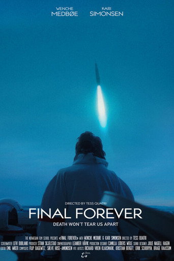 Final Forever movie poster