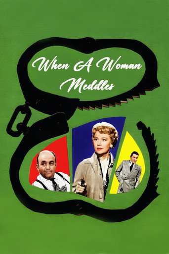When a Woman Meddles movie poster