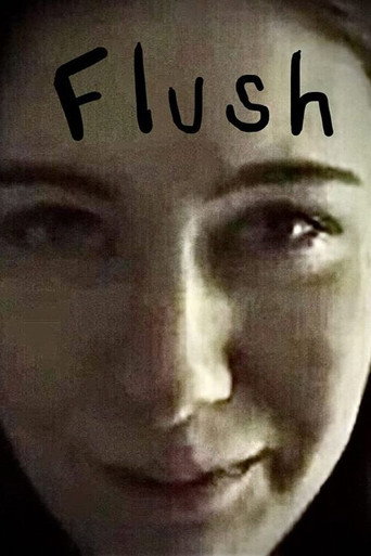 Flush movie poster