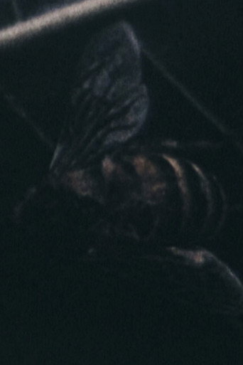 Morte all'orecchio di Van Gogh movie poster