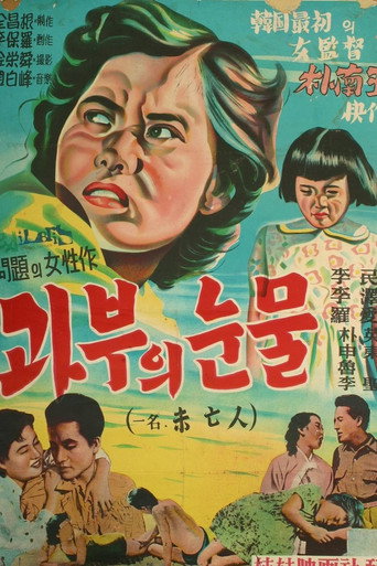 The Widow movie poster