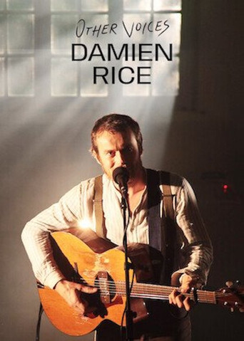 Other Voices: Damien Rice movie poster