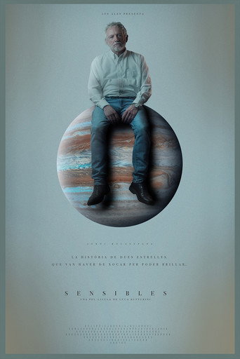 Sensibles movie poster