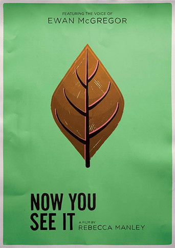 Now You See It movie poster