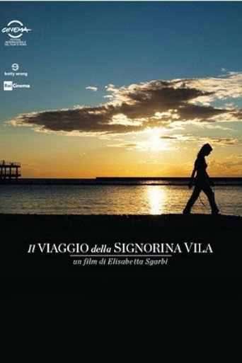Il viaggio della signorina Vila movie poster