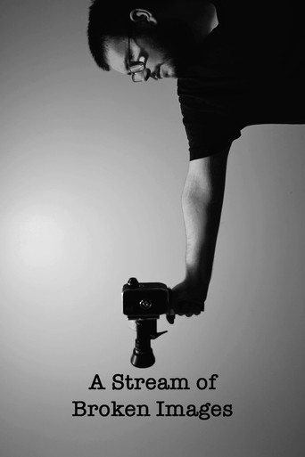 A Stream of Broken Images movie poster
