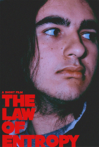 The Law of Entropy movie poster
