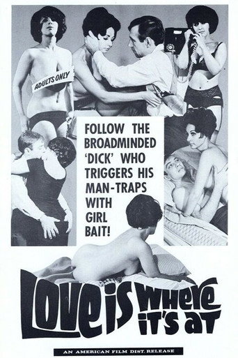 Love Is Where It's At movie poster