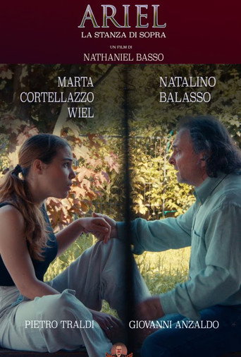 ARIEL - La stanza di sopra movie poster