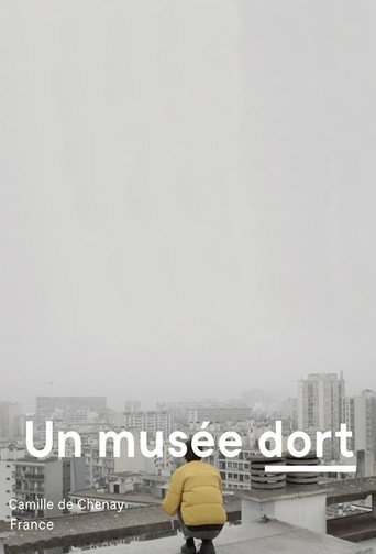 A Museum Sleeps movie poster