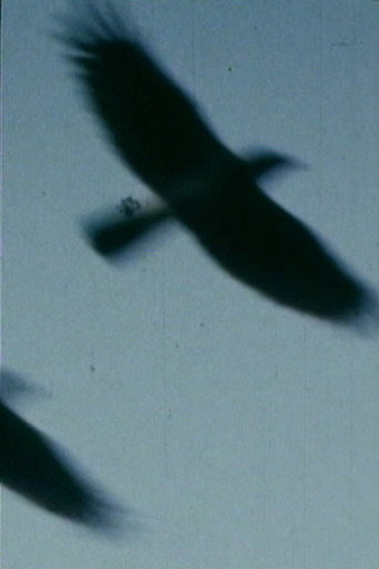 Tell Me movie poster