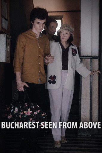 Bucharest Seen from Above movie poster