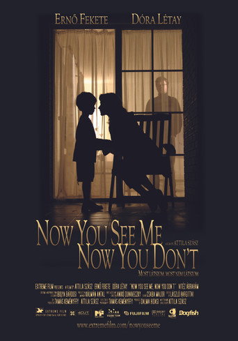 Now You See Me, Now You Don't movie poster