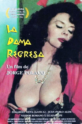 The Lady Is Back movie poster