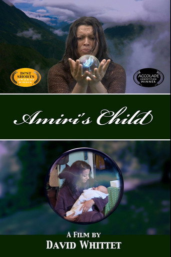 Amiri's Child movie poster