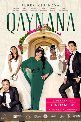 The Mother-in-Law movie poster