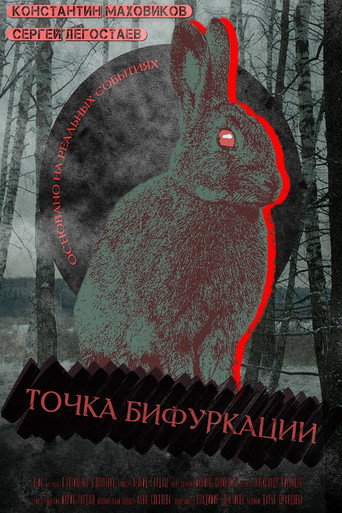 Point Of Bifurcation movie poster