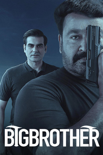 Big Brother movie poster