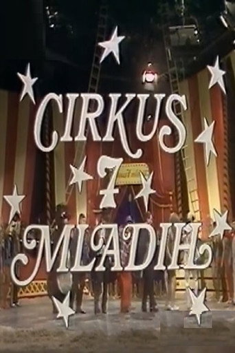 The Circus of the Seven Young Men movie poster