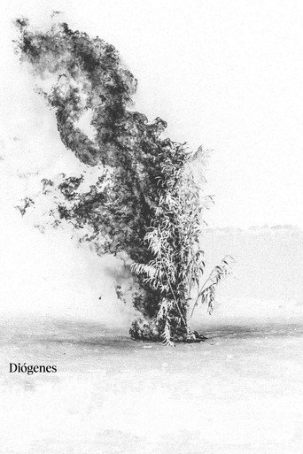 Diógenes movie poster