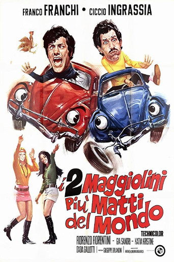 I due maggiolini più matti del mondo movie poster