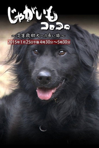 Jagaimo Korokoro ~ Saigai Kyūjo Inu e no Nagai Tabi movie poster