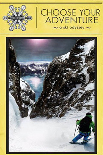 Choose Your Adventure movie poster