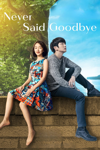 Never Said Goodbye movie poster