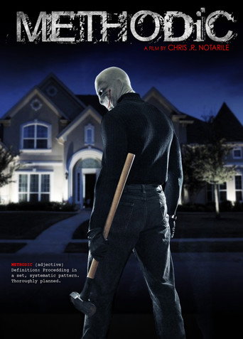 Methodic movie poster