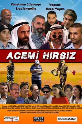 Acemi Hırsız movie poster