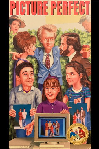 Picture Perfect movie poster